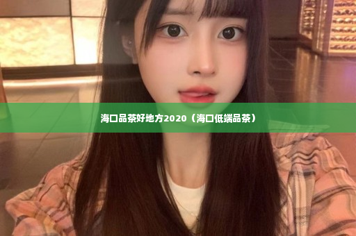 海口品茶好地方2020（海口低端品茶）